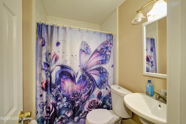 bathroom with a sink and toilet