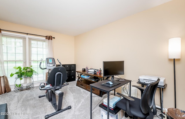 view of carpeted office space