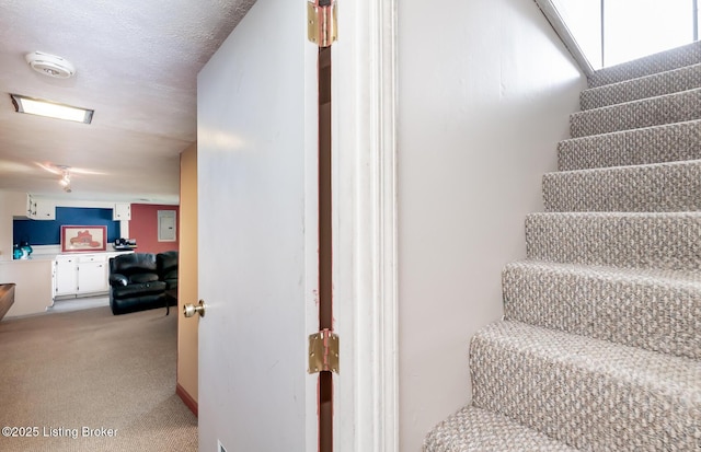 stairs featuring carpet floors