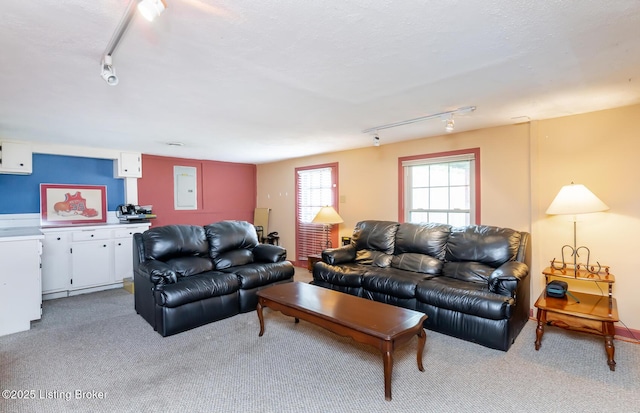 living room featuring track lighting and light carpet