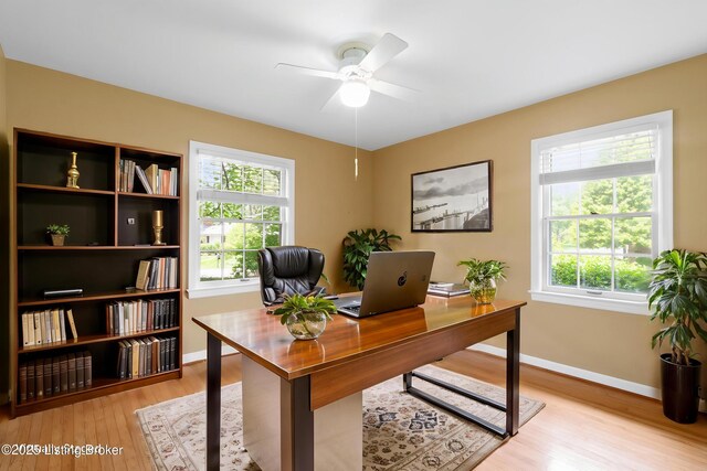 2224 Wynnewood Cir, Louisville, KY 40222 - office area with ceiling fan, light wood-style flooring, and baseboards
