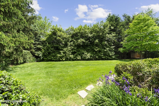 2224 Wynnewood Cir, Louisville, KY 40222 - view of green lawn