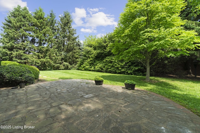 2224 Wynnewood Cir, Louisville, KY 40222 - view of patio / terrace