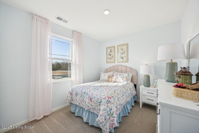 11036 Pheasant Hill Cir, Louisville, KY 40229 - carpeted bedroom with baseboards and visible vents