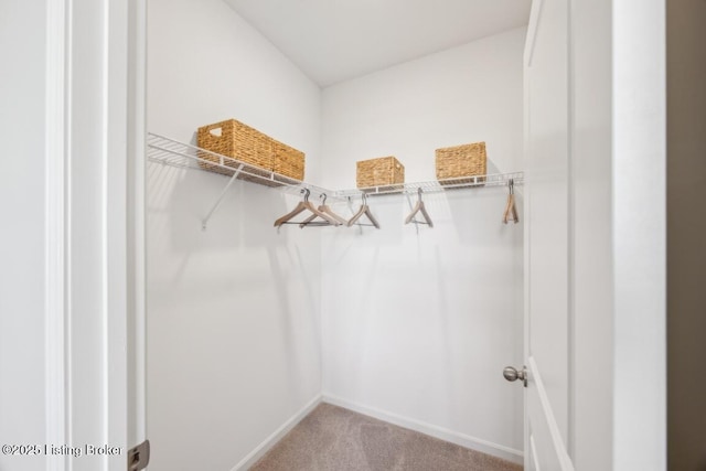 11036 Pheasant Hill Cir, Louisville, KY 40229 - spacious closet featuring carpet floors