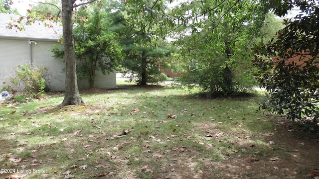 view of yard