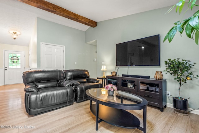 3003 Coffee Tree Ct, Crestwood, KY 40014 - living room featuring light wood finished floors