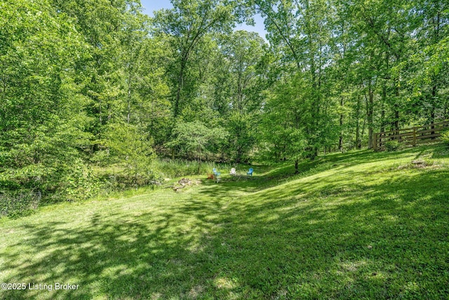 3003 Coffee Tree Ct, Crestwood, KY 40014 - view of yard