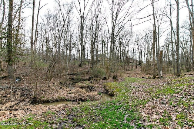 3003 Coffee Tree Ct, Crestwood, KY 40014 - view of undeveloped land