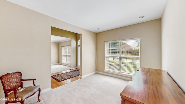 carpeted office featuring baseboards and plenty of natural light