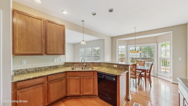 kitchen with light wood-type flooring, plenty of natural light, a sink, and dishwasher