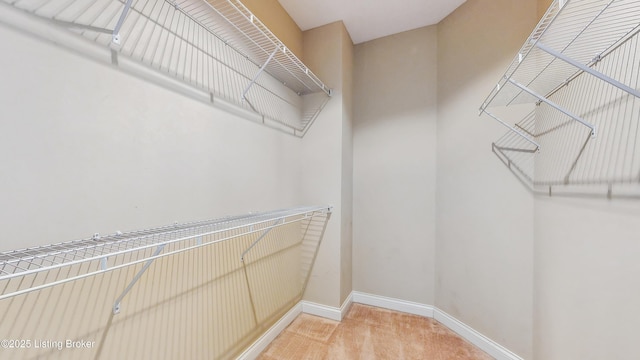 spacious closet featuring light colored carpet