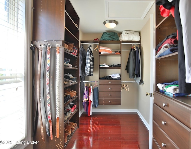 spacious closet featuring dark wood-style floors