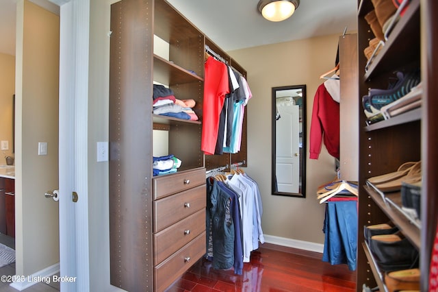 spacious closet featuring dark wood-type flooring