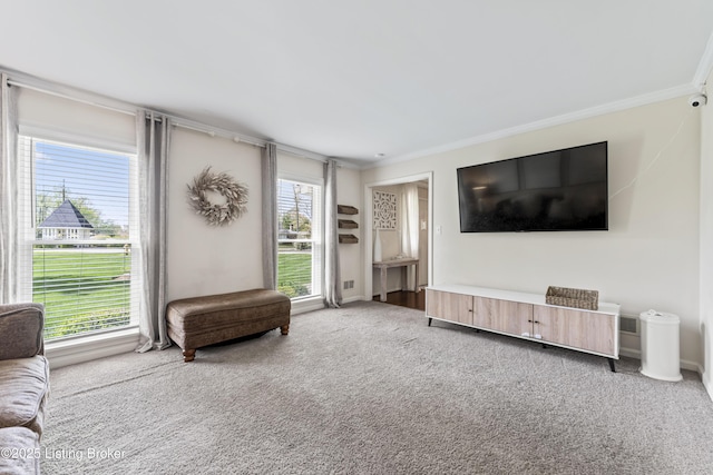 living area featuring carpet flooring and ornamental molding