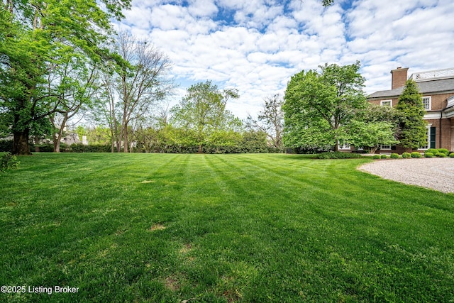 view of yard