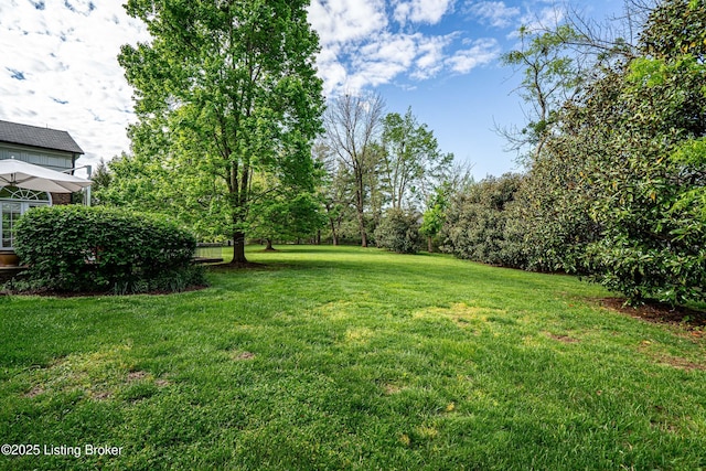 view of yard