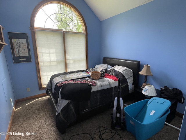 928 Old Nazareth Rd, Bardstown, KY 40004 - carpeted bedroom with lofted ceiling and baseboards