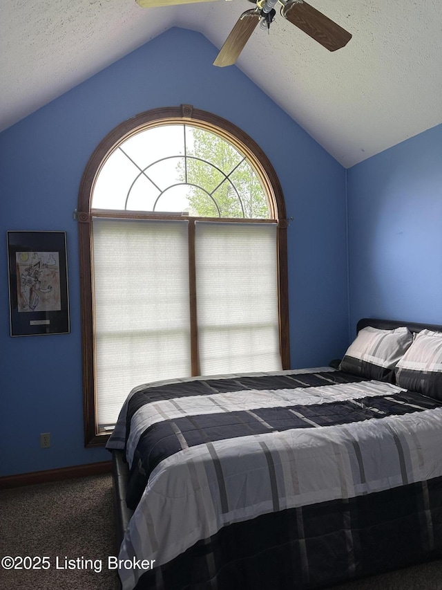 928 Old Nazareth Rd, Bardstown, KY 40004 - bedroom featuring lofted ceiling, carpet floors, a textured ceiling, and a ceiling fan