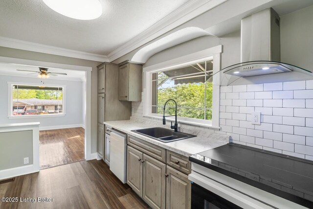 kitchen with a sink, dishwasher, extractor fan, stove, and dark wood-style floors