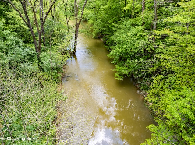 996 Rockbridge Rd, Shelbyville, KY 40065 - photo 58