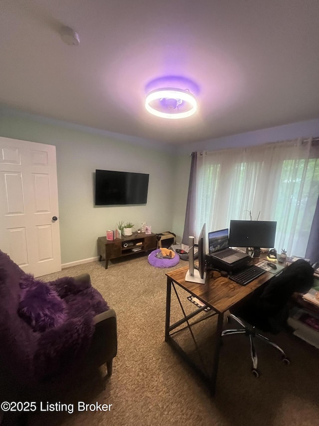 3115 Wynbrooke Cir, Louisville, KY 40241 - office space with carpet flooring