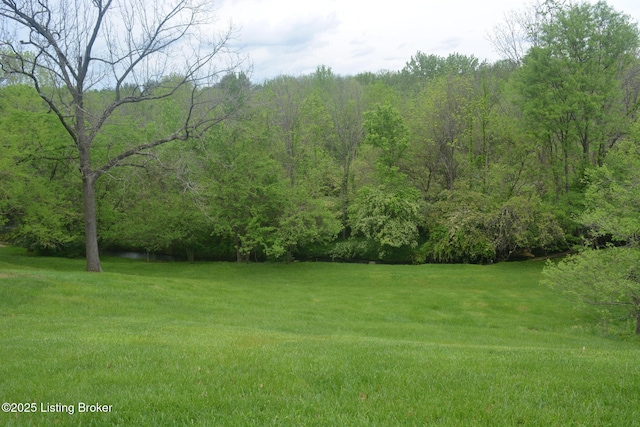 3115 Wynbrooke Cir, Louisville, KY 40241 - view of grassy yard with a view of trees