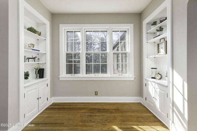 interior space featuring baseboards and dark wood finished floors
