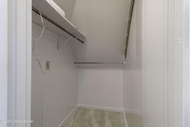 spacious closet with carpet