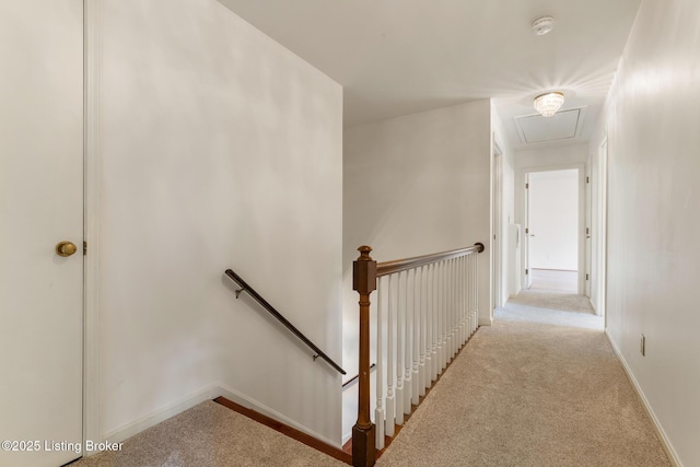 6012 Innes Trace Rd, Louisville, KY 40222 - photo 38