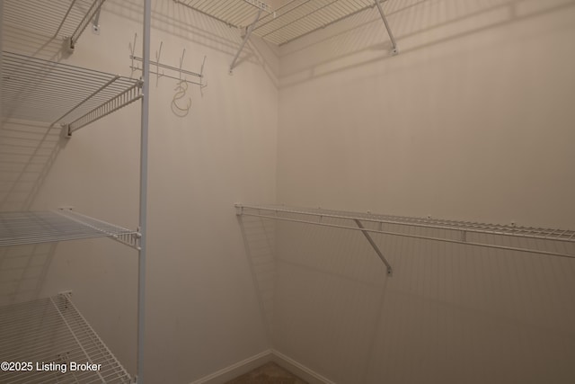 view of spacious closet