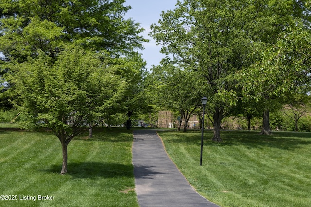 view of home's community featuring a yard