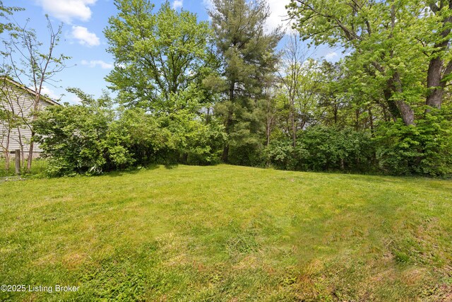 6998 Fisherville Rd, Fisherville, KY 40023 - photo 52