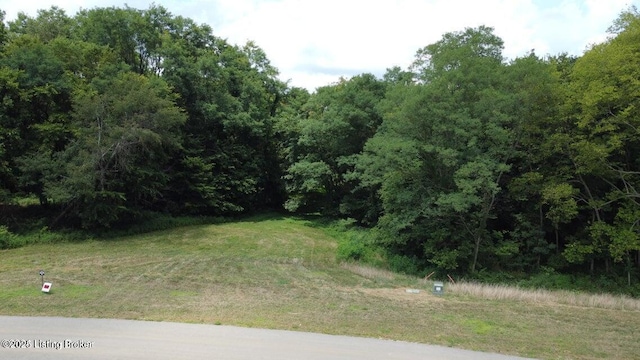 LOT45A Stallard Spgs, Shelbyville, KY 40065