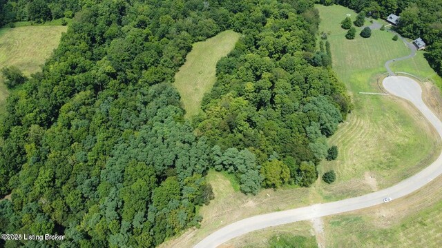 LOT45A Stallard Spgs, Shelbyville, KY 40065