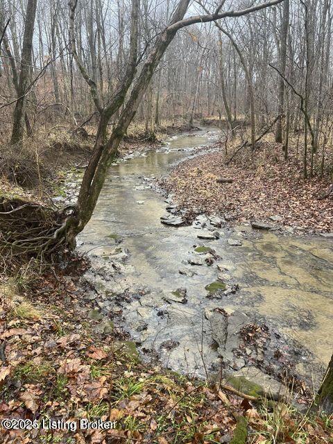 LOT45A Stallard Spgs, Shelbyville, KY 40065