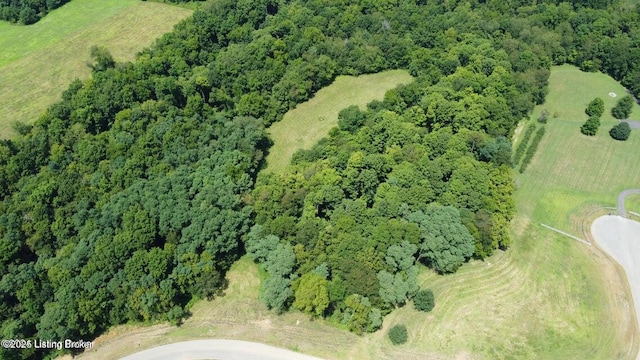 LOT45A Stallard Spgs, Shelbyville, KY 40065