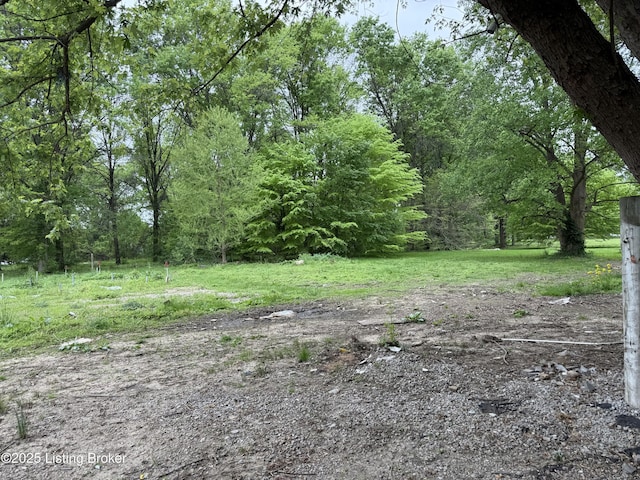 538 N 44th St, Louisville, KY 40212 - view of yard with a forest view
