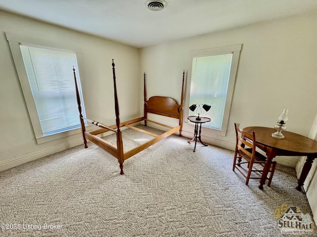 116 Lebanon Hl, Springfield, KY 40069 - carpeted bedroom featuring baseboards and visible vents