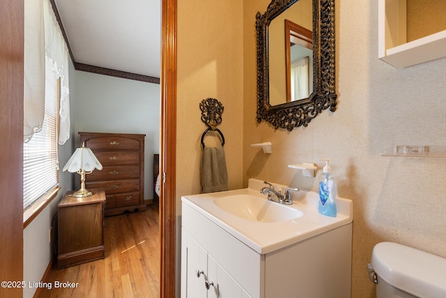 half bath featuring toilet, wood finished floors, and vanity