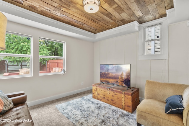 612 E Ormsby Ave, Louisville, KY 40203 - living area featuring wooden ceiling, carpet floors, and baseboards