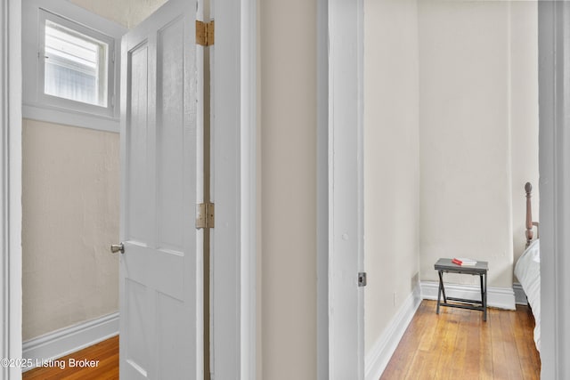 612 E Ormsby Ave, Louisville, KY 40203 - corridor with wood finished floors and baseboards