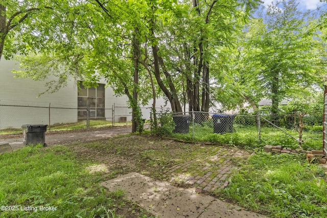 612 E Ormsby Ave, Louisville, KY 40203 - view of yard