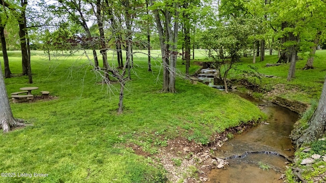15815 Crystal Valley Way, Louisville, KY 40299 - view of yard with view of wooded area