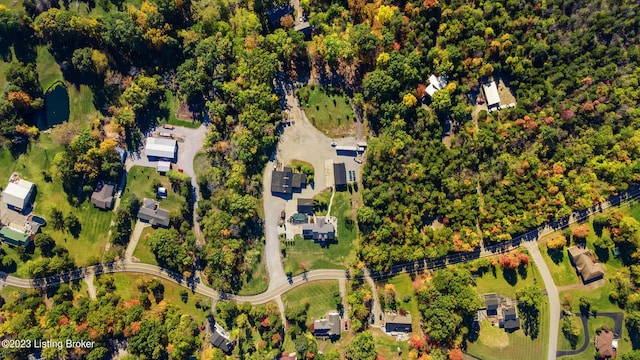 drone / aerial view
