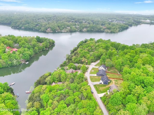 302 Hampton Rd, Brandenburg, KY 40108 - birds eye view of property featuring a water view and a forest view