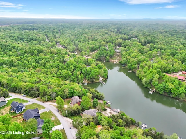 302 Hampton Rd, Brandenburg, KY 40108 - bird's eye view featuring a water view and a view of trees