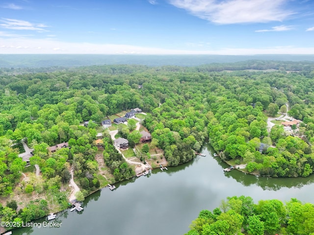 302 Hampton Rd, Brandenburg, KY 40108 - drone / aerial view with a water view and a wooded view