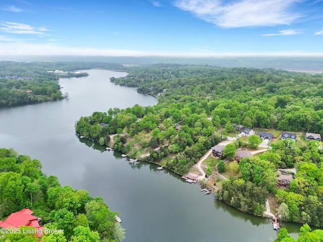 302 Hampton Rd, Brandenburg, KY 40108 - drone / aerial view with a view of trees and a water view