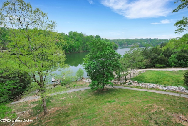 302 Hampton Rd, Brandenburg, KY 40108 - view of water feature with a forest view